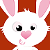 Rabbit Mooncake